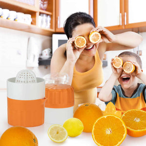 Fruit press Fitline