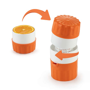 Fruit press Fitline
