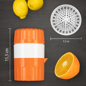 Fruit press Fitline