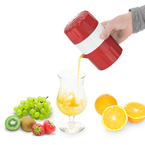 Fruit press Fitline